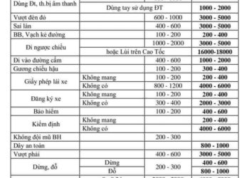 Sua man dinh dvd o to 10